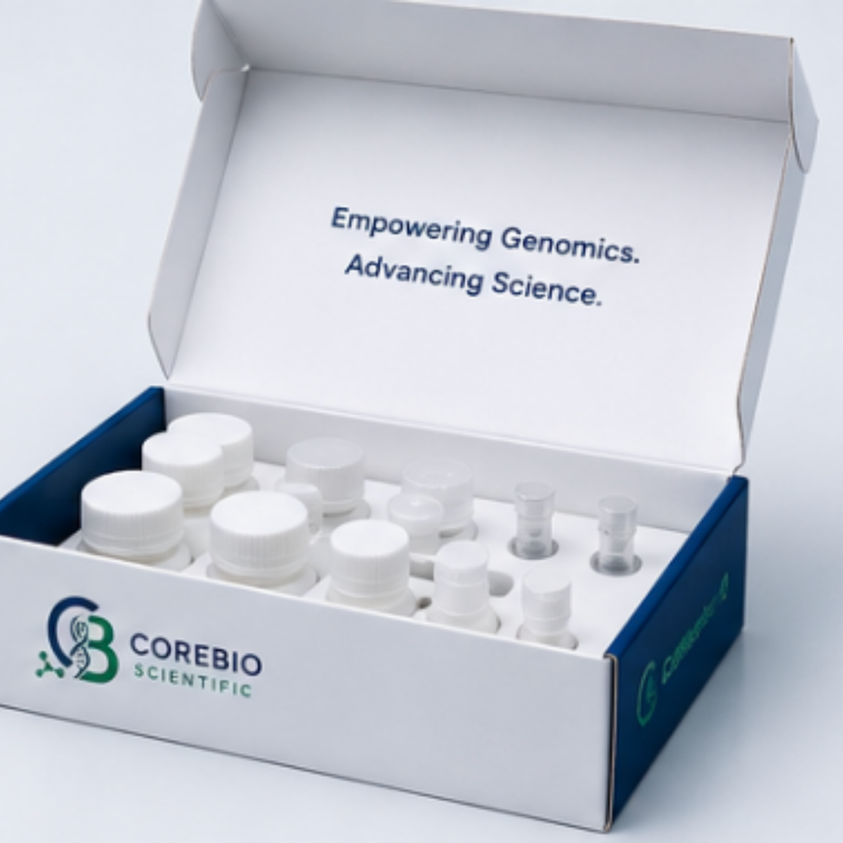 Corebio DNA Prep - Library Preparation Kit (50 Samples)