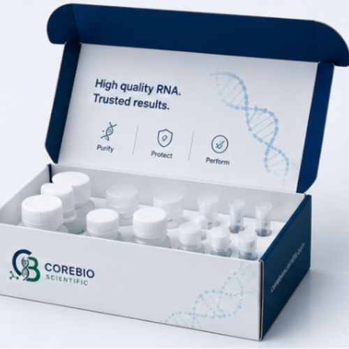 CoreBio RNA Prep - Library Preparation Kit (50 Samples)