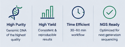 Corebio DNA Prep - Library Preparation Kit (50 Samples)