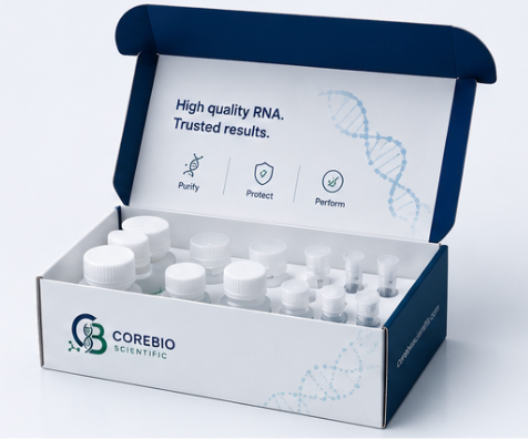 CoreBio RNA Prep - Library Preparation Kit