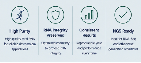 CoreBio RNA Prep - Library Preparation Kit